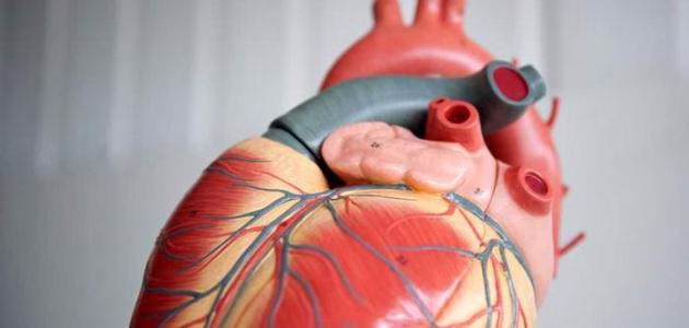 مشاكل شائعة في صمامات القلب
