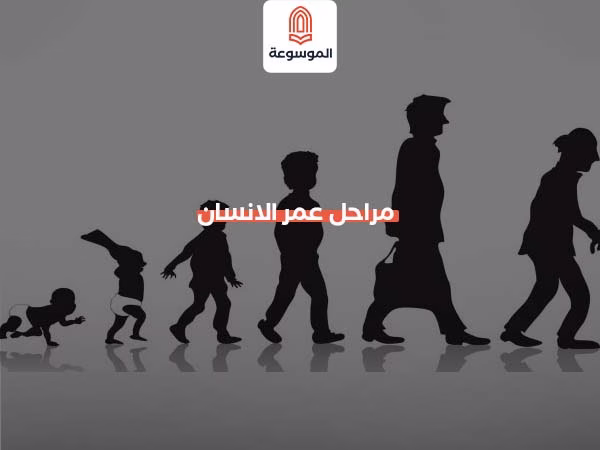 مراحل عمر الانسان