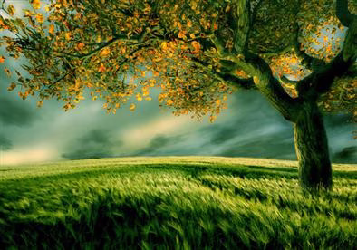 شروط دخول أبواب الجنة المختلفة