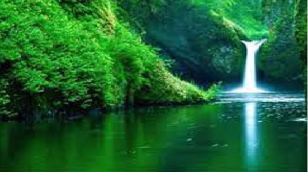 باب الجهاد وفضله في الإسلام