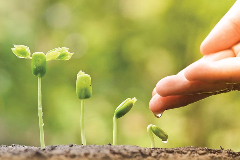 كيفية تطوير الأخلاق الشخصية