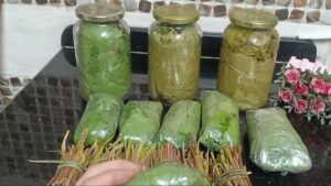 تخزين بدون سلق