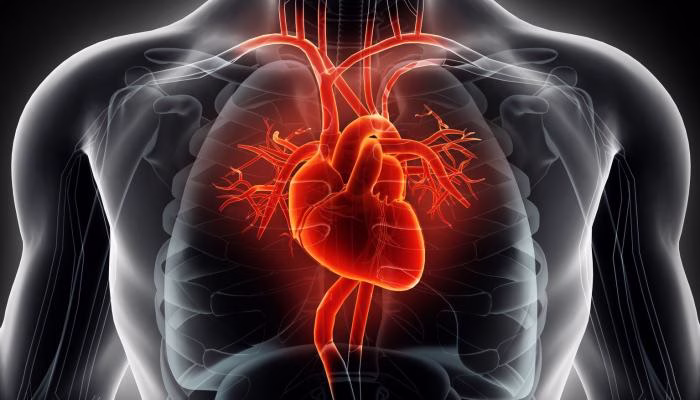 علاج خفقان القلب عند النوم