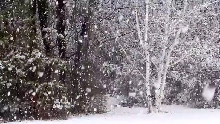 تأويل تساقط الثلج في المنام