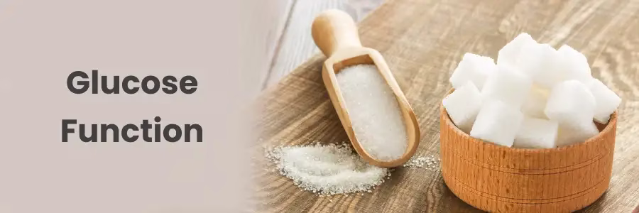 مستويات الجلوكوز الطبيعية في الدم