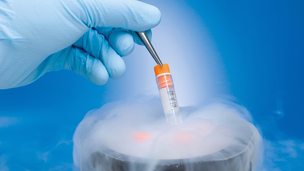 تطبيقات الخلايا الجذعية في الطب