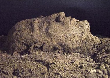 الحكمة الإلهية من خلق الإنسان