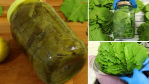 حفظ الخضروات