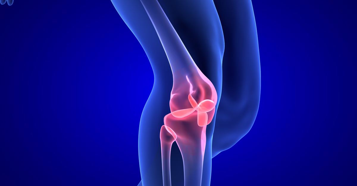 ما هو غضروف الركبة