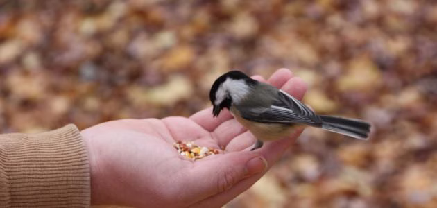 الأعمال الصالحة وعلاقتها بالرزق