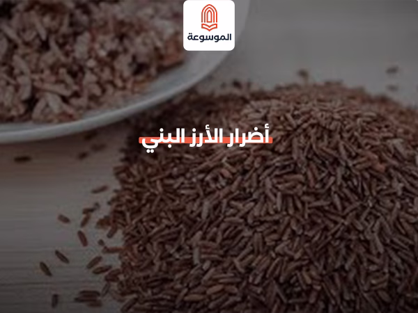أضرار الأرز البني