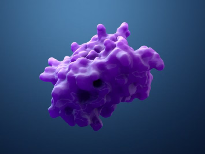 التصنيف العلمي للإنزيمات وأنواعها الرئيسية