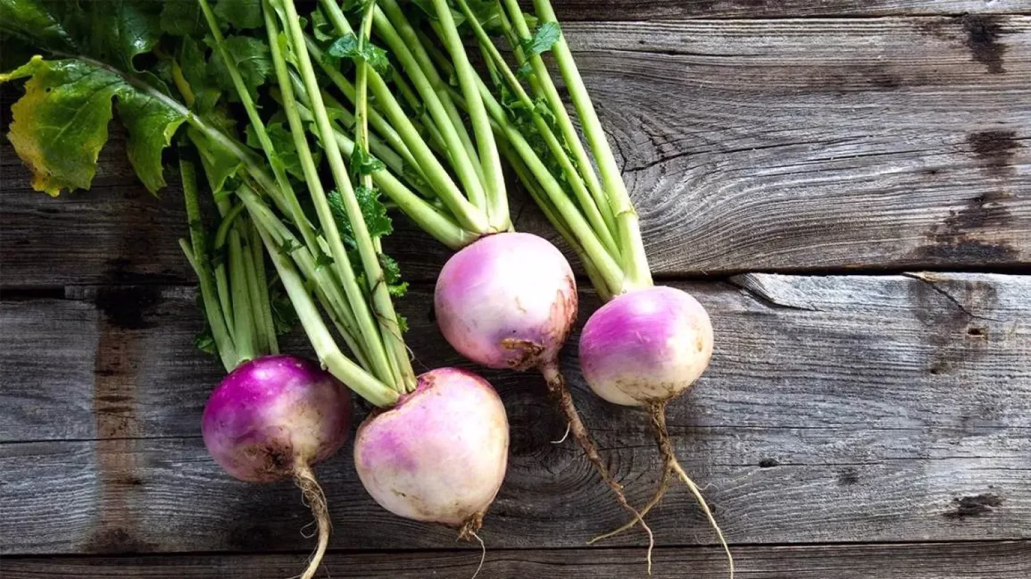 اللفت وصحة البروستاتا