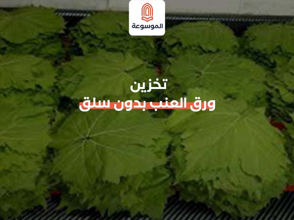 تخزين بدون سلق