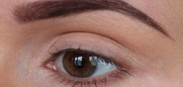 آراء العلماء المعاصرين حول تشقير الحواجب