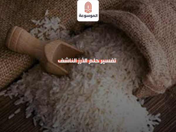 تفسير حلم الأرز الناشف