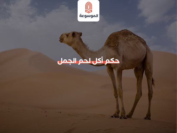 حكم أكل لحم الجمل
