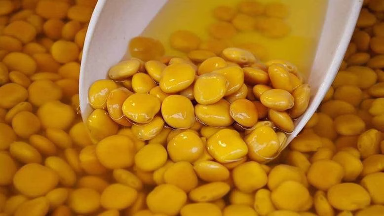 مدة نقع الترمس السريع