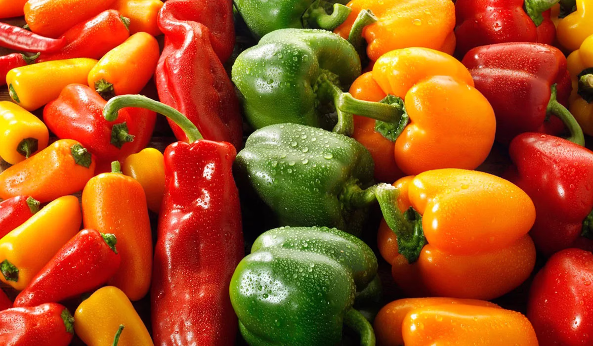 فوائد الفلفل الرومي للبشرة والشعر