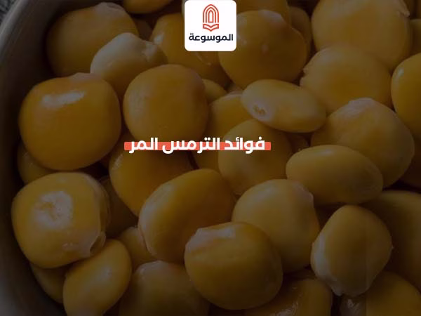 فوائد الترمس المر
