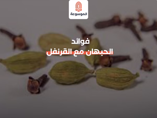 فوائد الحبهان مع القرنفل