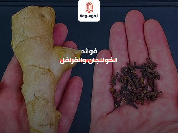 فوائد الخولنجان والقرنفل للجسم والمناعة والهضم