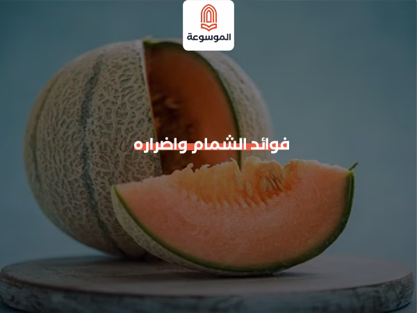 فوائد الشمام واضراره