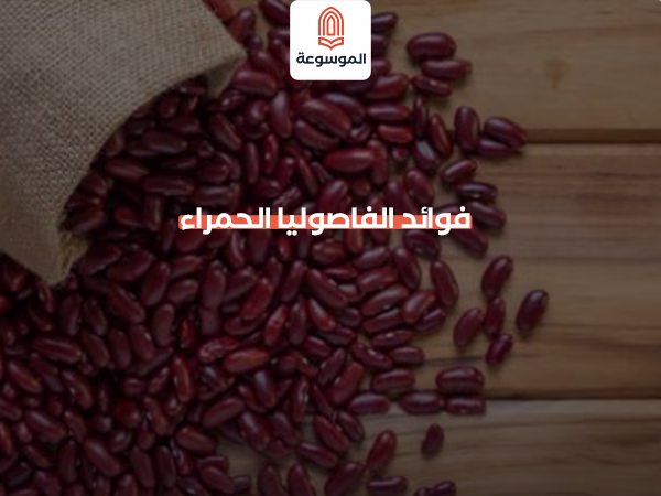 فوائد الفاصوليا الحمراء