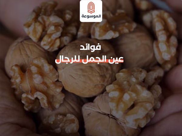 فوائد عين الجمل للرجال