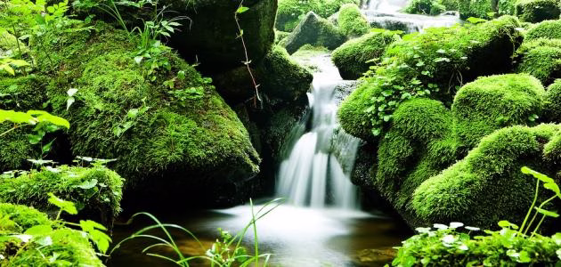 ابواب الجنة الثمانية