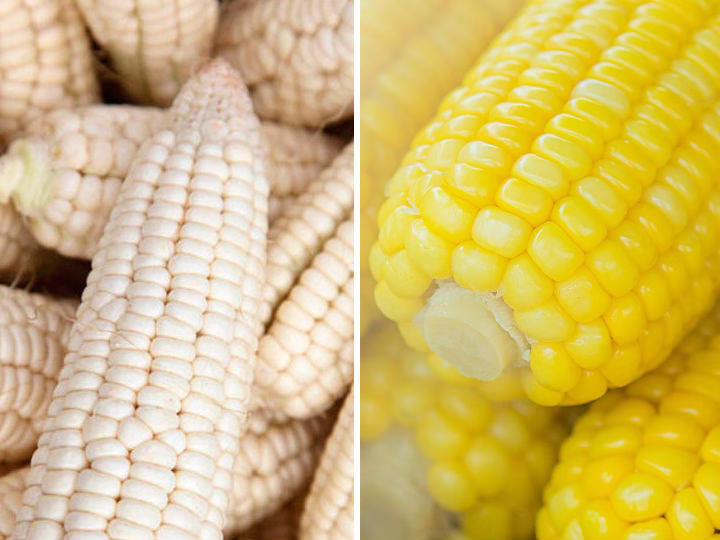 الفوائد الصحية لكل نوع