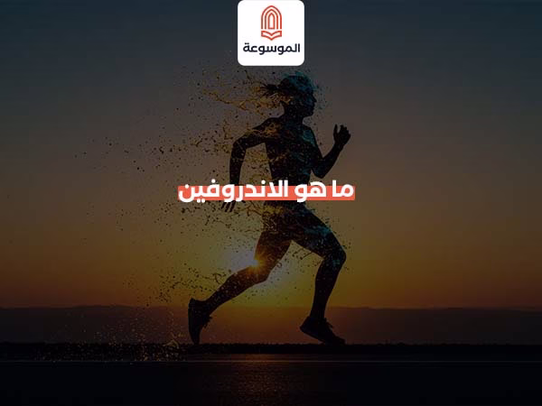 ما هو الاندروفين