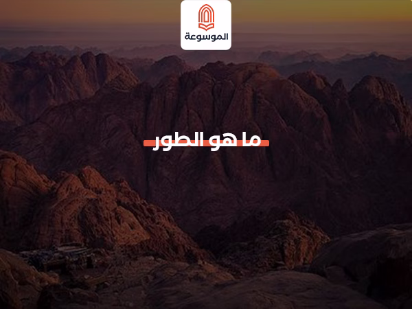 ما هو الطور