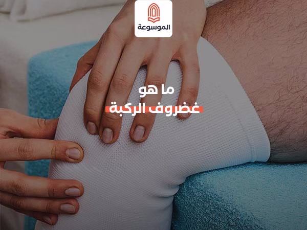 ما هو غضروف الركبة