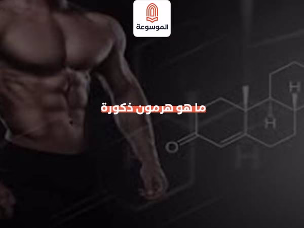 ما هو هرمون ذكورة