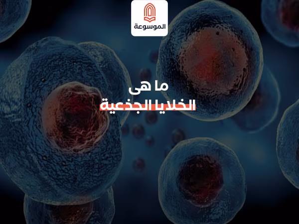 ما هى الخلايا الجذعية