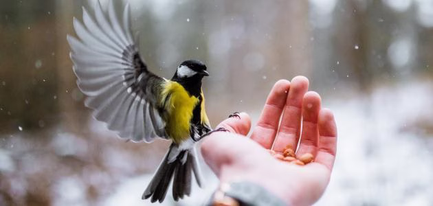 الدعاء وأهميته في طلب الرزق