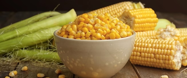 الفرق في المظهر والشكل الخارجي