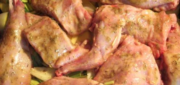 طريقة تتبيل الأرانب